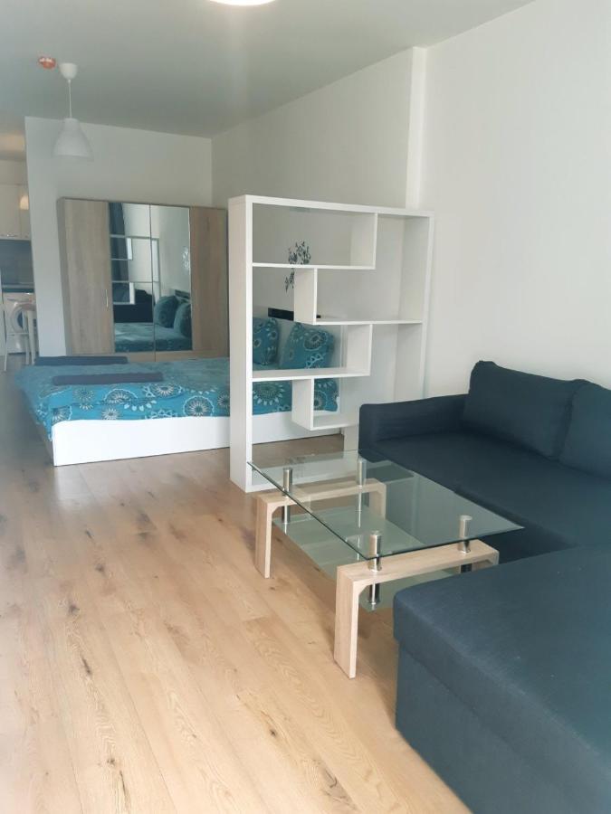 Huge Apartment With A Parking Space In The Same Building 索菲亞 外观 照片