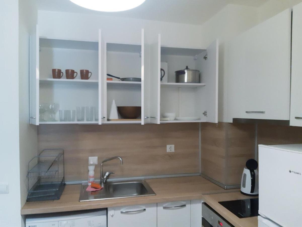 Huge Apartment With A Parking Space In The Same Building 索菲亞 外观 照片